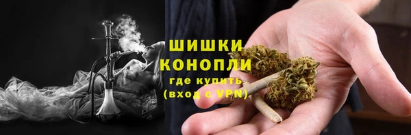 ГАЛЛЮЦИНОГЕННЫЕ ГРИБЫ Армянск