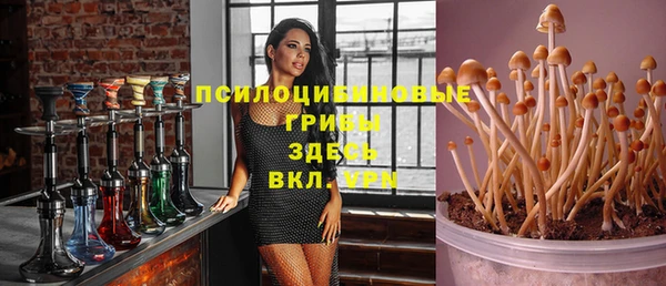 крисы Баксан
