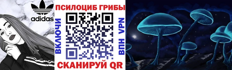 как найти   MEGA как зайти  Псилоцибиновые грибы Psilocybe  Светлоград 